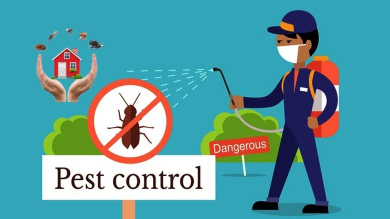 Pest Control Services in Delhi-Jukaso Pest Control